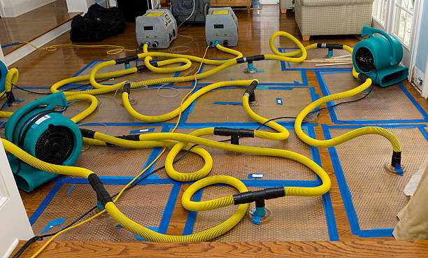 Professional Crawl Space Water Removal technician working in Woodburn, VA
